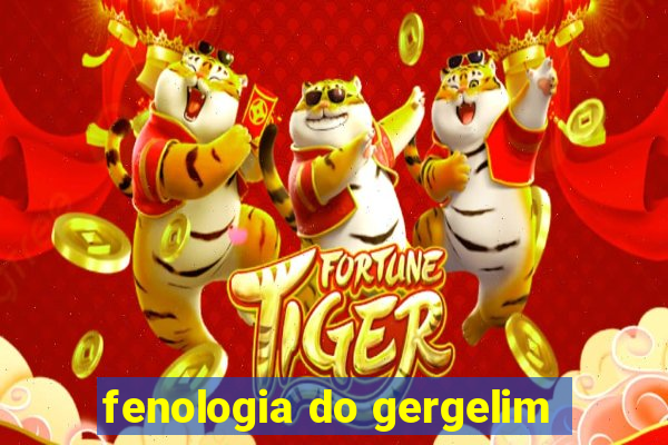 fenologia do gergelim